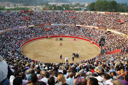 Image result for feria del sol in venezuela